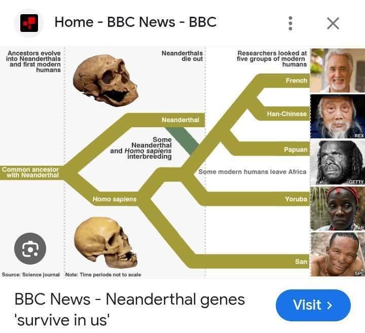 Ancestral Lineage Evidence
